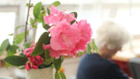 tul ikebana3 IMG 2032-2